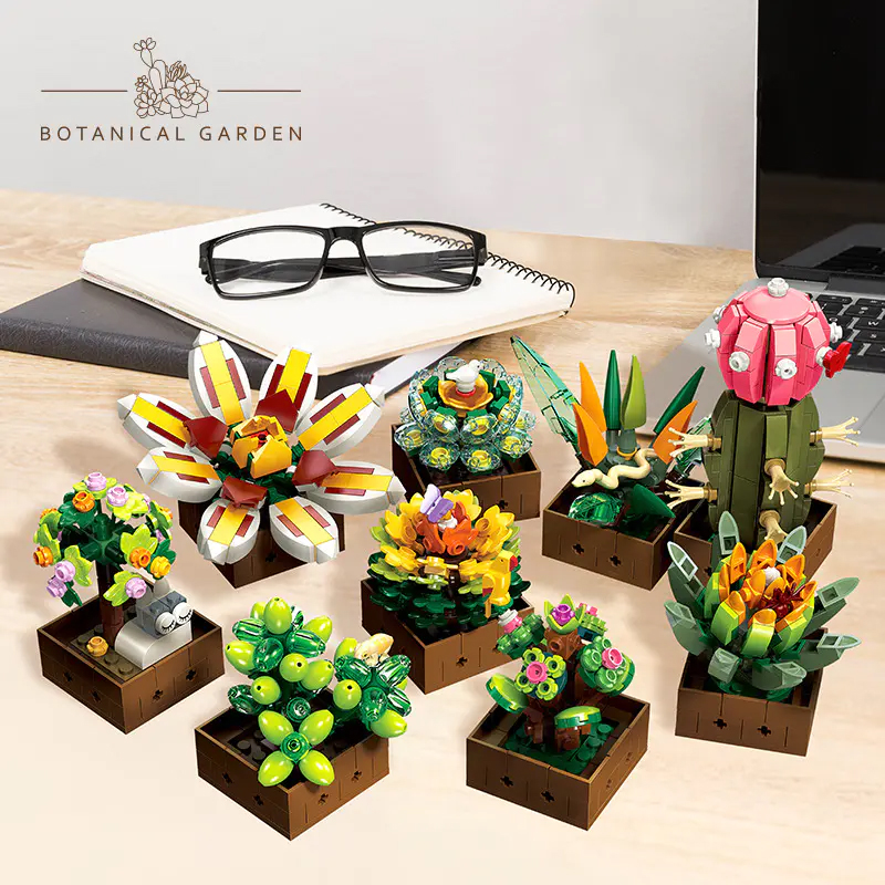 Plantes succulentes créatives  - Board Game Jumanji avis et prix